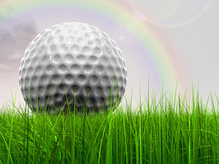 White golf ball in grass and sky
