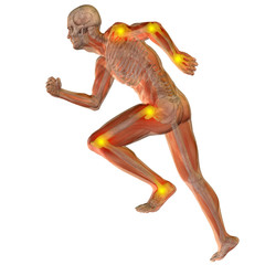 3D human man anatomy with articular pain
