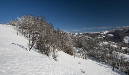 winter landscape