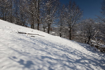 Fototapeta premium winter mountain landscape