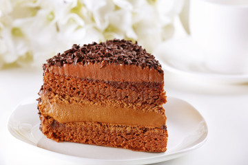 Delicious chocolate cake on plate on table on light background