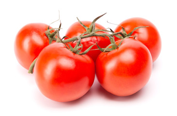 branch of tomatoes