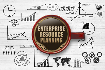 Enterprise Resource Planning (ERP)