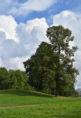 Парковый пейзаж с облаками