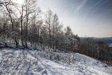 snowy landscape