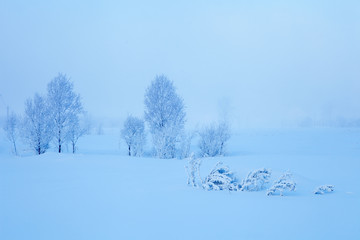 Winter landscape. Cold winter evening