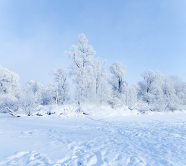 Winter landscape.
