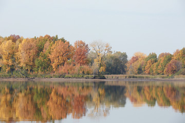 autumn trees reflected in the river