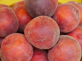 Nectarines in the summer