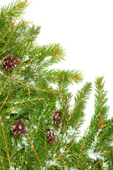 Christmas background. Eve framework