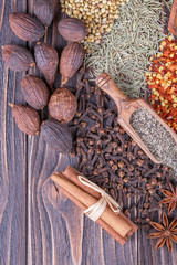 Different  spices