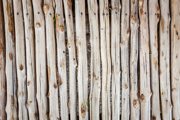 abstract wood log background close-up