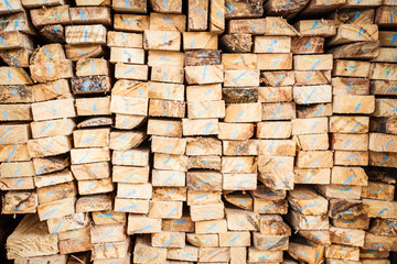abstract wood log background close-up