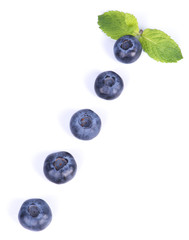 blackberries