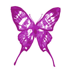 butterflies design
