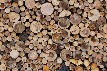 Firewood
