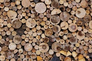 Möbelaufkleber Firewood © vaveta