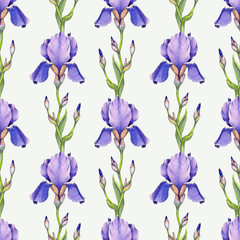 Watercolor iris flower illustration. Seamless pattern