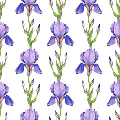 Fototapeta na wymiar Watercolor iris flower illustration. Seamless pattern