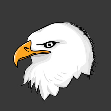 White eagle head