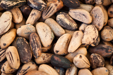 Obraz premium Pine nuts in shell close-up