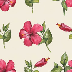 Watercolor hibiscus flower illustration. Seamless pattern
