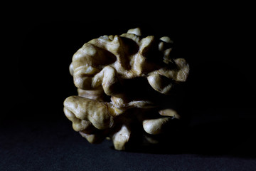 Large Wrinkled Edible Seed of a Walnut Isolated on Black