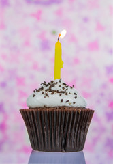 Birthday cupcake with candle