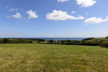 Fototapeta na wymiar meadows on Lizard peninsula, Cornwall