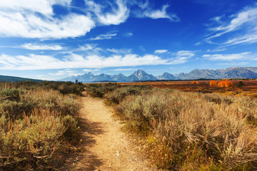 Autumn in Grand Teton