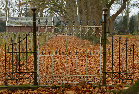 Forged iron gate of a cemetery