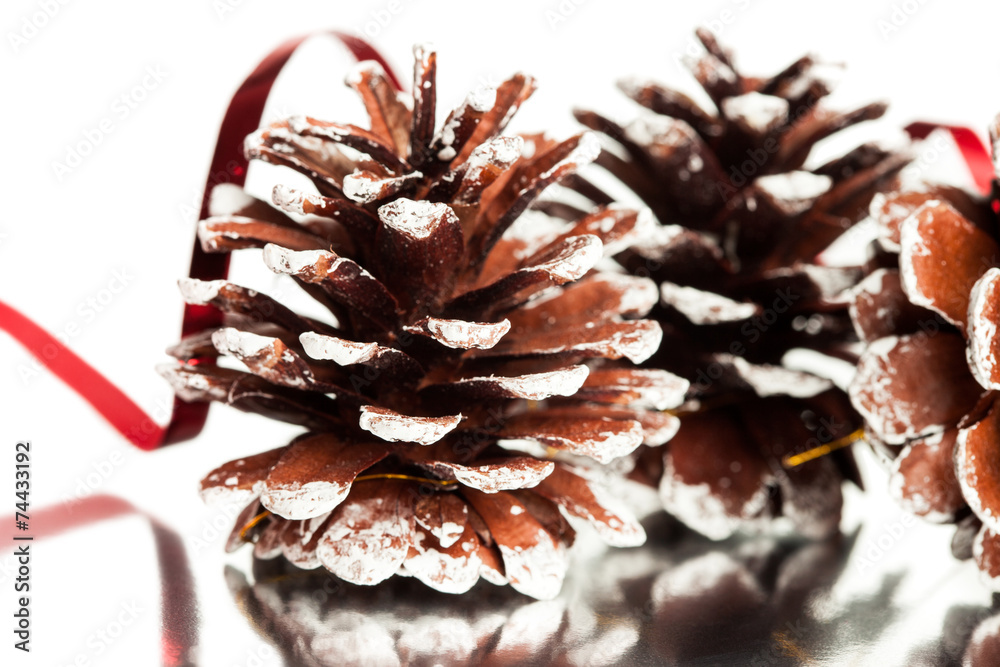 Canvas Prints christmas decoration with festive pinecone