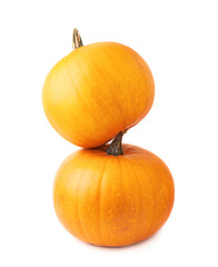 Orange pumpkin composition isolated