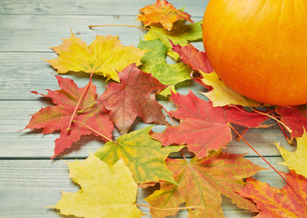 Orange pumpkin and maple leaves composition