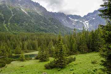 Tatra woods © Rada+
