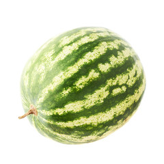 Ripe green watermelon fruit isolated