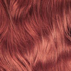 Hair fragment as a background composition