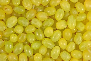 Green grapes background