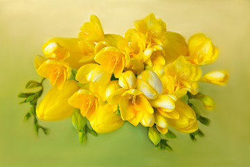Bouquet yellow tulips freesias