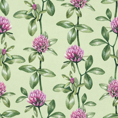 Watercolor clover flower. Seamless pattern