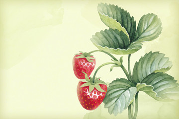 Watercolor strawberry bush