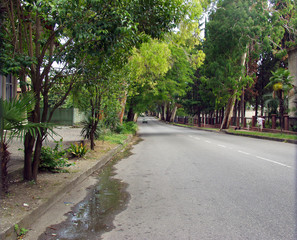 The central avenue of the city of Gagra