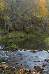 Obraz na płótnie Canvas Whitewater River Scenic