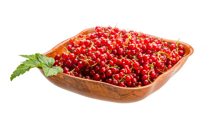 Red currant