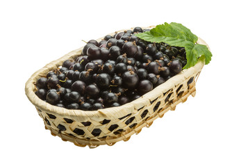 Black currant