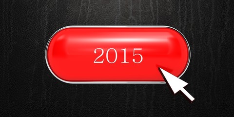 2015 button © castelberry