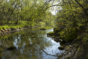 Fototapeta na wymiar Whitewater River In Spring