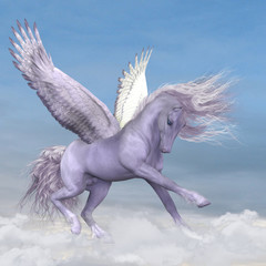 Pegasus among the Clouds