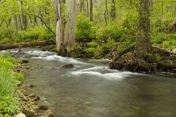 Whitewater River In Spring