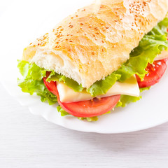 Fresh and tasty sandwich